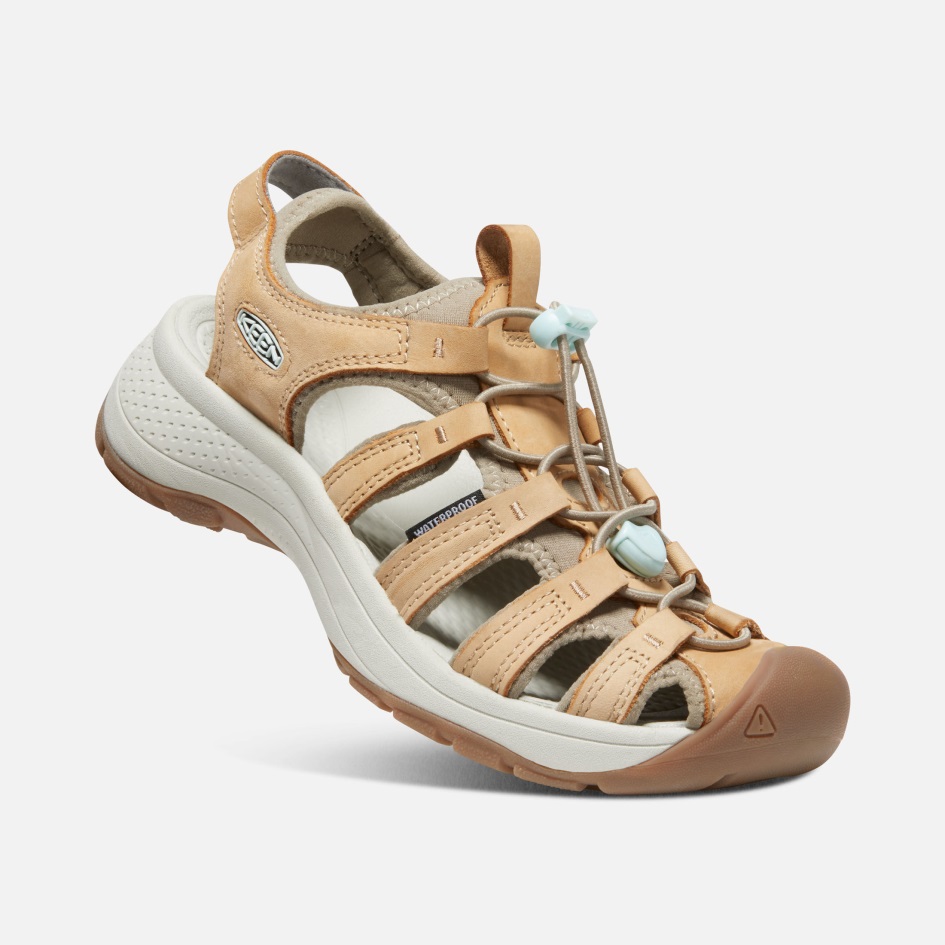 Innokas Naisten Astoria West Nahka Sandaali Doe-blue Lasi