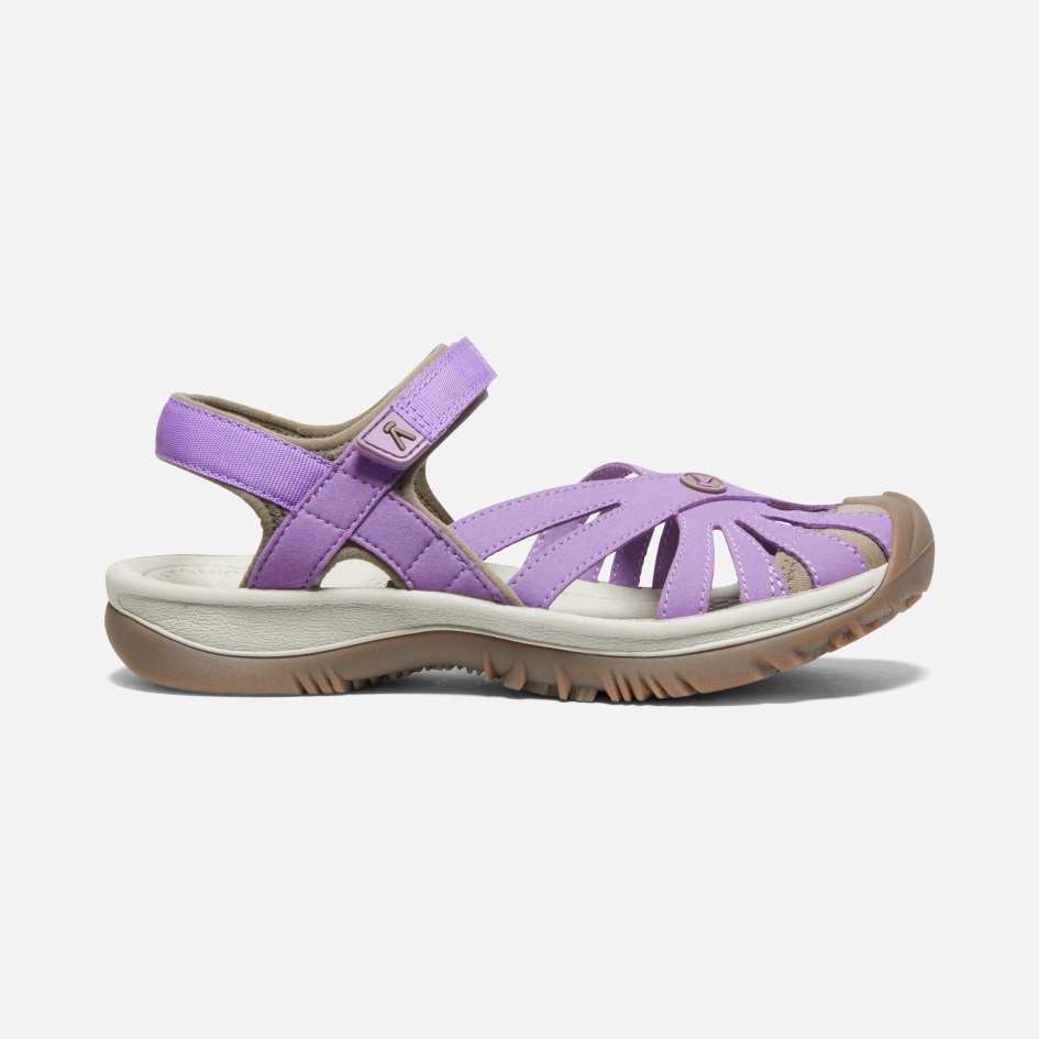 Innokas Naisten Ruususandaali Liitu Violetti-brindle